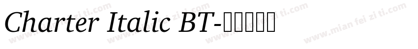 Charter Italic BT字体转换